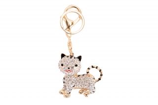 Fashion JEWELRY 