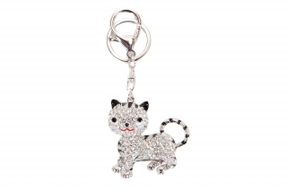 Fashion JEWELRY 