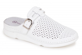 GABI Naiste plätud. 